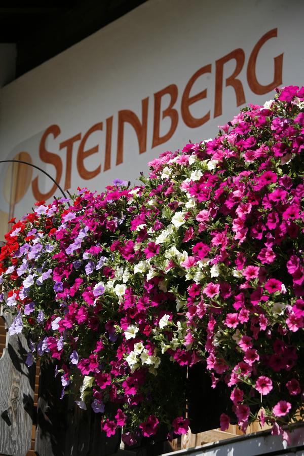 Pension Steinberg Ultimo Zewnętrze zdjęcie